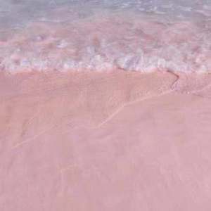 少妇和和尚在野外做爰
