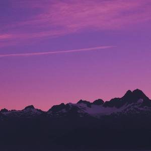 少妇和和尚在野外做爰
